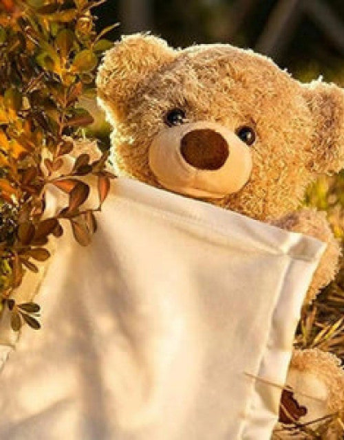 Peek A Boo Bear Animated with Voice Teddy (Rechargeable)