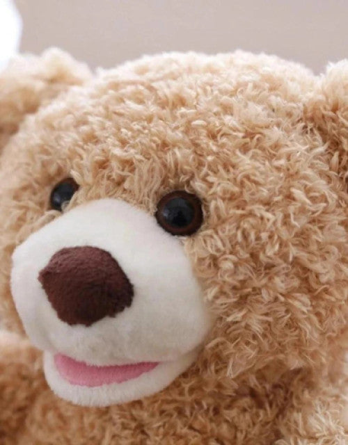 Peek A Boo Bear Animated with Voice Teddy (Rechargeable)